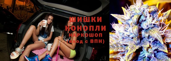 Альфа ПВП Верея