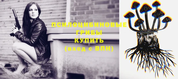 Альфа ПВП Верея