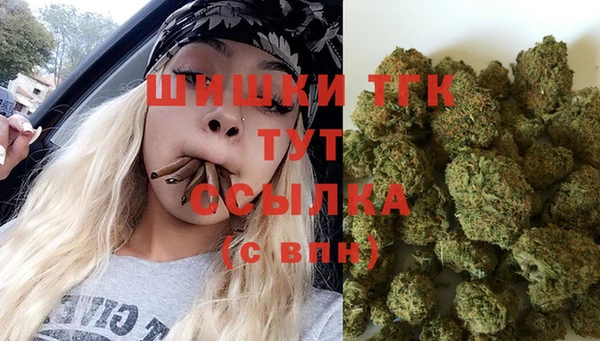 Альфа ПВП Верея