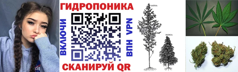 Конопля OG Kush  Вичуга 